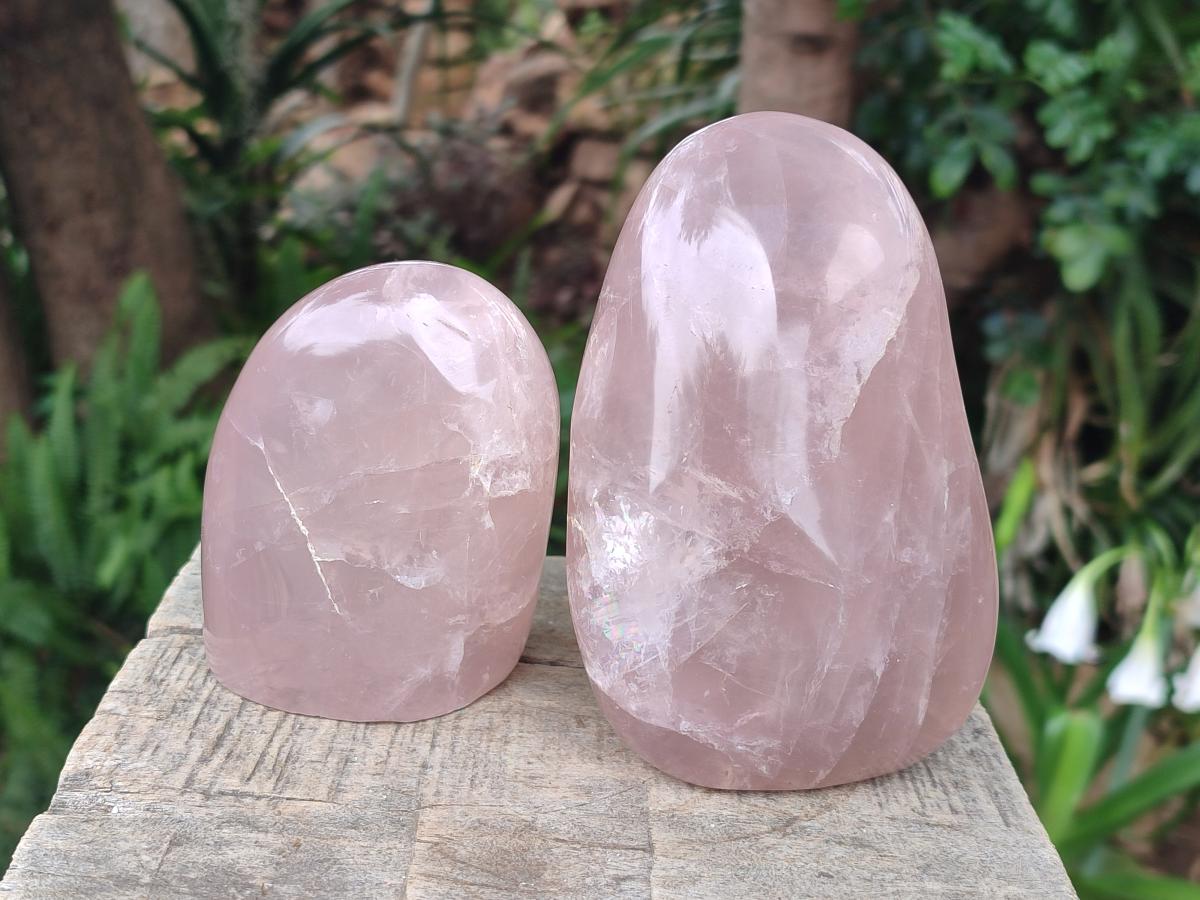 Polished Gemmy Rose Quartz Standing Display Pieces x 2 From Madagascar - Toprock Gemstones and Minerals 