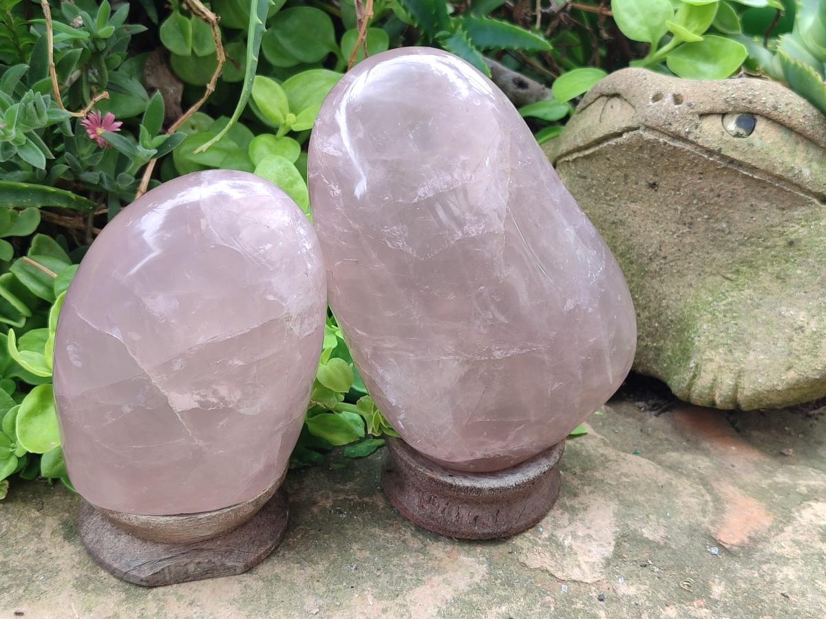 Polished Gemmy Rose Quartz Standing Display Pieces x 2 From Madagascar - Toprock Gemstones and Minerals 