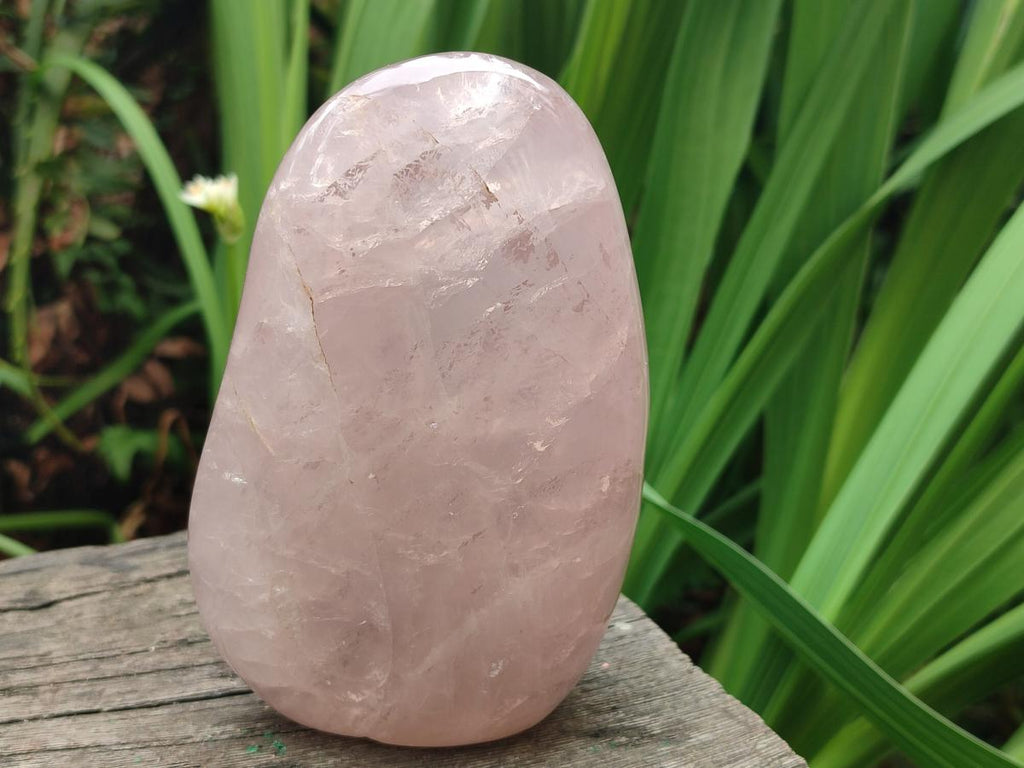 Polished Gemmy Rose Quartz Standing Display Pieces x 2 From Madagascar - Toprock Gemstones and Minerals 