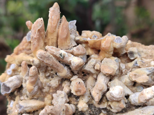 Natural Mix of Lesotho Calcite Specimens x 4 From Albert's Mountain, Lesotho - Toprock Gemstones and Minerals 