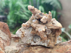 Natural Mix of Lesotho Calcite Specimens x 4 From Albert's Mountain, Lesotho - Toprock Gemstones and Minerals 