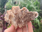 Natural Mix of Lesotho Calcite Specimens x 4 From Albert's Mountain, Lesotho - Toprock Gemstones and Minerals 