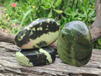Polished Leopard Stone Free Forms x 5 From Zimbabwe - Toprock Gemstones and Minerals 