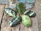 Polished Leopard Stone Free Forms x 5 From Zimbabwe - Toprock Gemstones and Minerals 