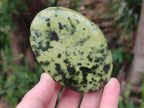 Polished Leopard Stone Free Forms x 5 From Zimbabwe - Toprock Gemstones and Minerals 