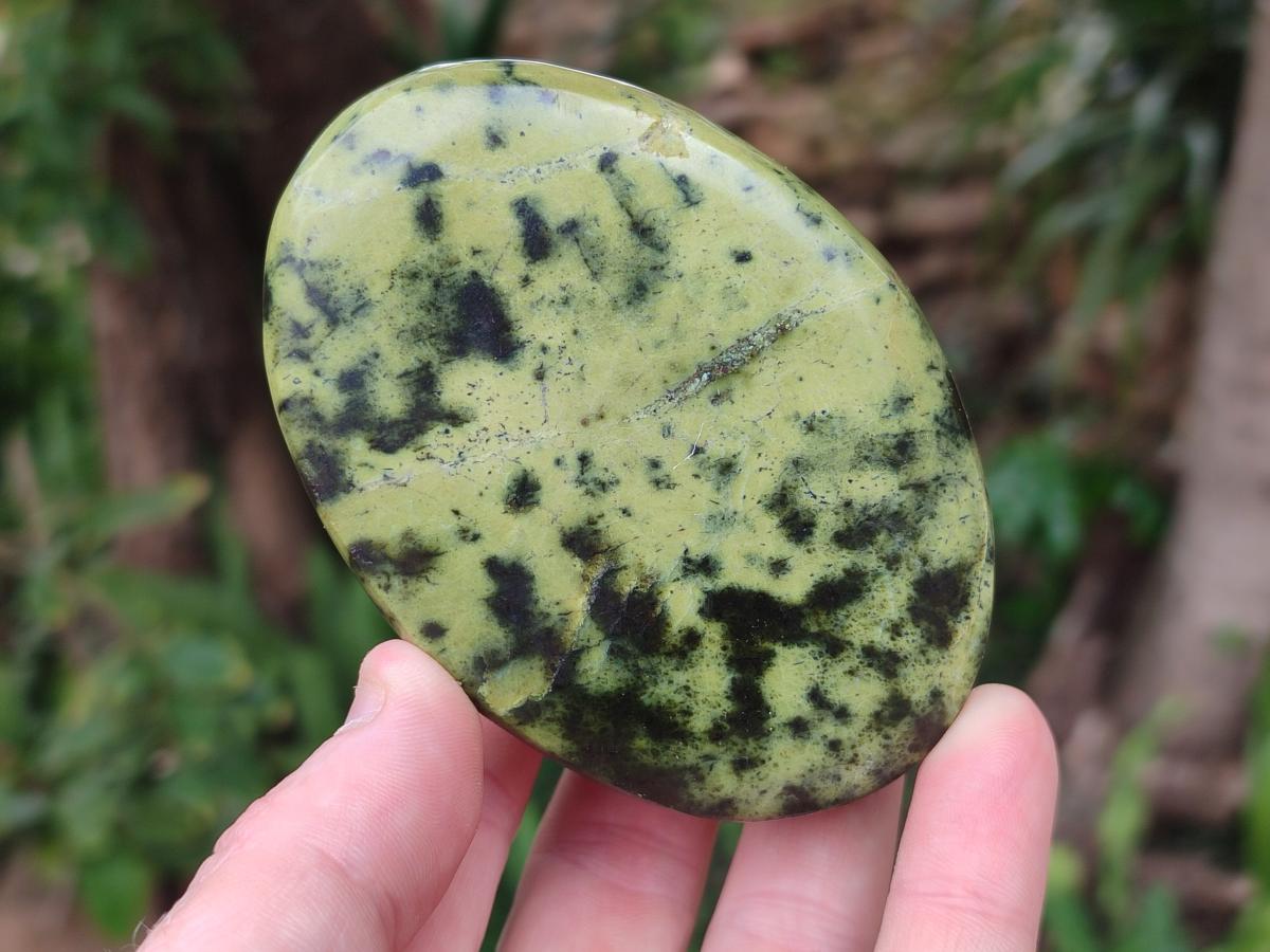 Polished Leopard Stone Free Forms x 5 From Zimbabwe - Toprock Gemstones and Minerals 