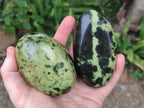 Polished Leopard Stone Free Forms x 5 From Zimbabwe - Toprock Gemstones and Minerals 