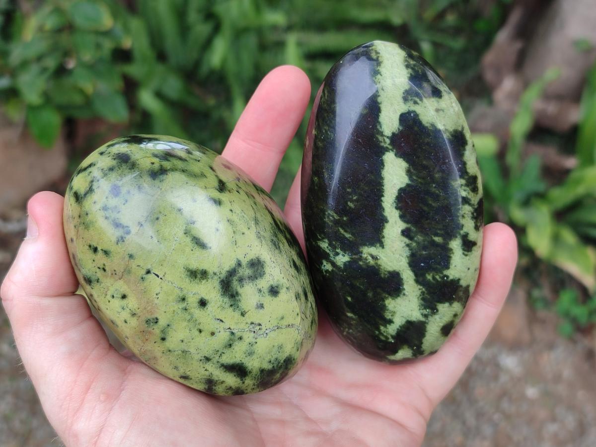 Polished Leopard Stone Free Forms x 5 From Zimbabwe - Toprock Gemstones and Minerals 