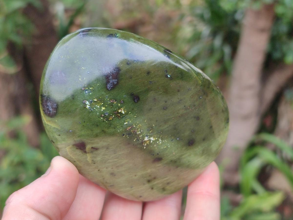Polished Leopard Stone Free Forms x 5 From Zimbabwe - Toprock Gemstones and Minerals 