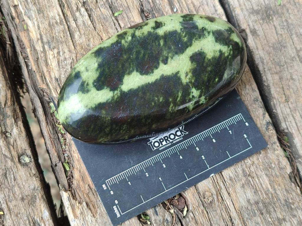 Polished Leopard Stone Free Forms x 5 From Zimbabwe - Toprock Gemstones and Minerals 