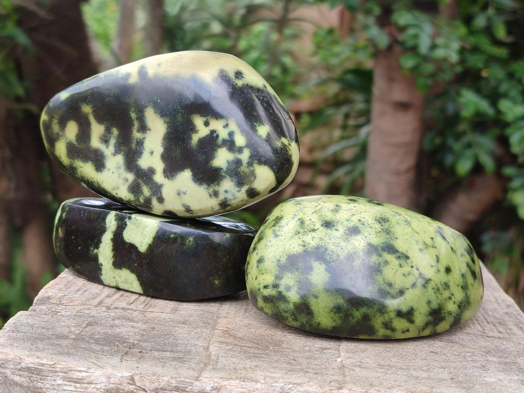 Polished Leopard Stone Free Forms x 5 From Zimbabwe - Toprock Gemstones and Minerals 