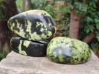 Polished Leopard Stone Free Forms x 5 From Zimbabwe - Toprock Gemstones and Minerals 