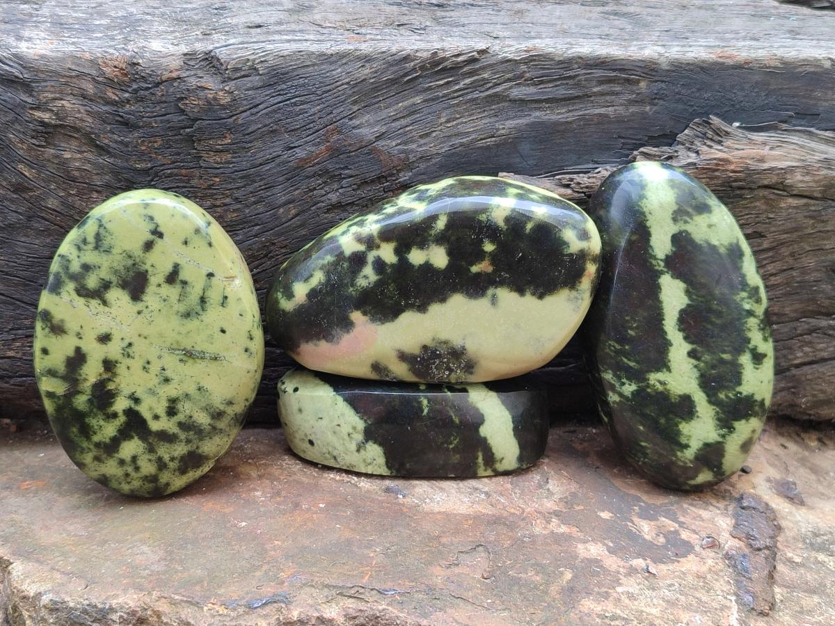 Polished Leopard Stone Free Forms x 5 From Zimbabwe - Toprock Gemstones and Minerals 
