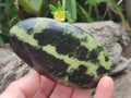 Polished Leopard Stone Free Forms x 5 From Zimbabwe - Toprock Gemstones and Minerals 