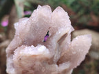 Natural Mix of Spirit Quartz Clusters x 6 From Boekenhouthoek, South Africa - Toprock Gemstones and Minerals 