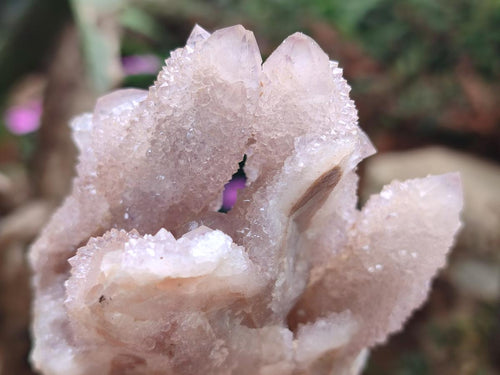 Natural Mix of Spirit Quartz Clusters x 6 From Boekenhouthoek, South Africa - Toprock Gemstones and Minerals 