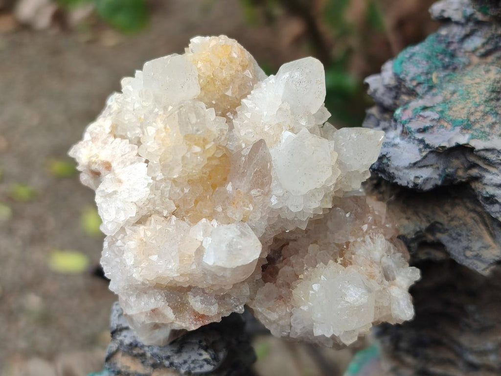 Natural Mix of Spirit Quartz Clusters x 6 From Boekenhouthoek, South Africa - Toprock Gemstones and Minerals 