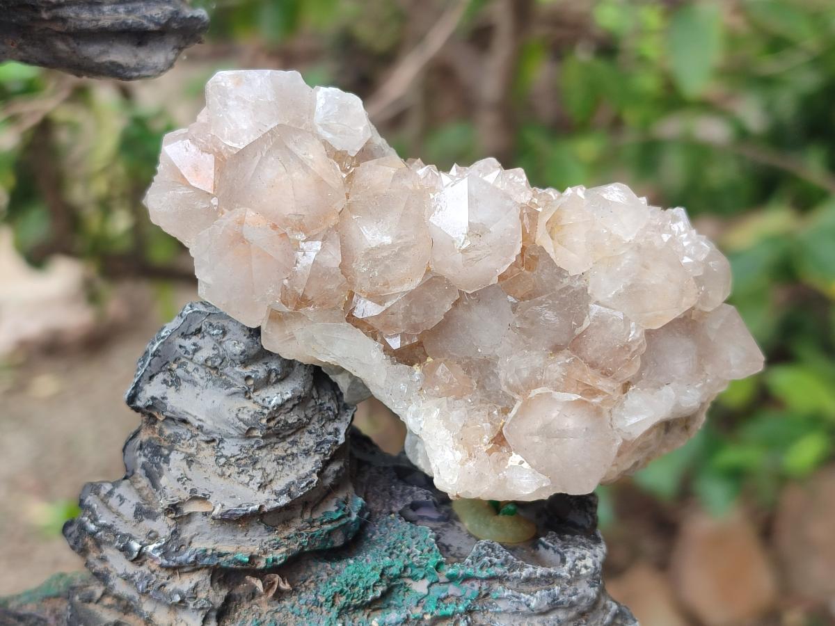 Natural Mix of Spirit Quartz Clusters x 6 From Boekenhouthoek, South Africa - Toprock Gemstones and Minerals 