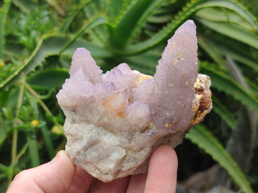 Natural Mix of Spirit Quartz Clusters x 6 From Boekenhouthoek, South Africa - Toprock Gemstones and Minerals 