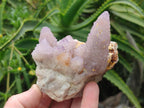 Natural Mix of Spirit Quartz Clusters x 6 From Boekenhouthoek, South Africa - Toprock Gemstones and Minerals 