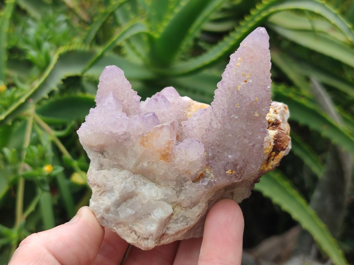 Natural Mix of Spirit Quartz Clusters x 6 From Boekenhouthoek, South Africa - Toprock Gemstones and Minerals 