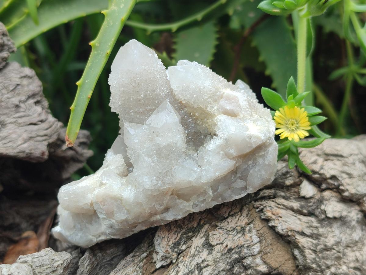Natural Mix of Spirit Quartz Clusters x 6 From Boekenhouthoek, South Africa - Toprock Gemstones and Minerals 