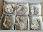 Natural Mix of Spirit Quartz Clusters x 6 From Boekenhouthoek, South Africa - Toprock Gemstones and Minerals 
