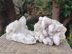 Natural Mix of Spirit Quartz Clusters x 6 From Boekenhouthoek, South Africa - Toprock Gemstones and Minerals 