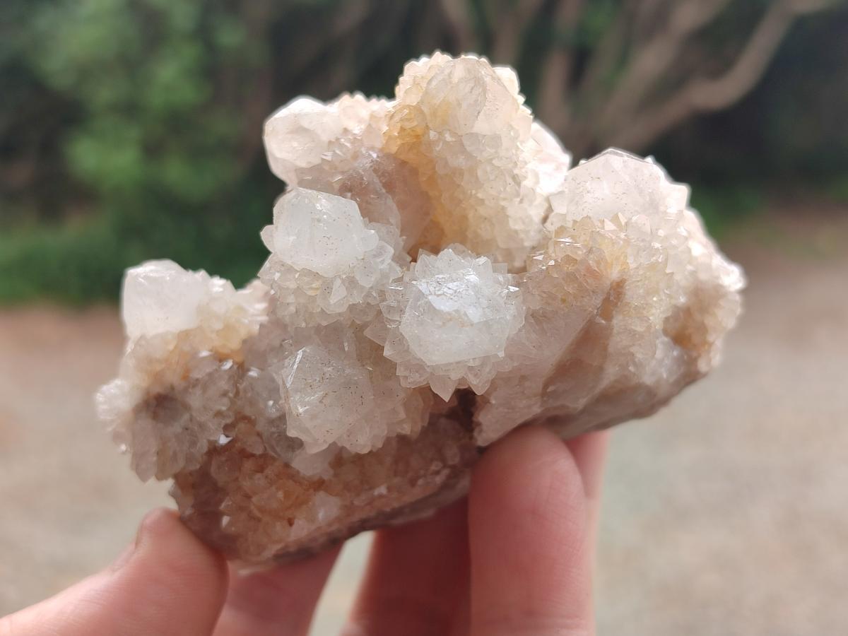 Natural Mix of Spirit Quartz Clusters x 6 From Boekenhouthoek, South Africa - Toprock Gemstones and Minerals 