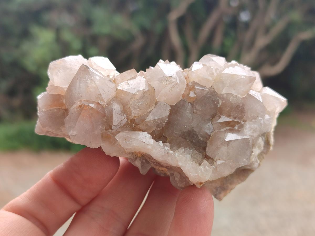 Natural Mix of Spirit Quartz Clusters x 6 From Boekenhouthoek, South Africa - Toprock Gemstones and Minerals 
