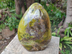 Polished Large Green Opal Standing Display Piece x 1 From Betroka, Madagascar - Toprock Gemstones and Minerals 