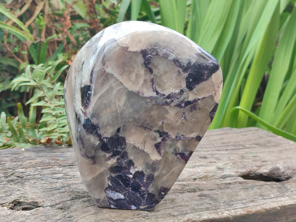 Polished Large Silver Leaf Lepidolite Standing Display Piece x 1 From Zimbabwe - Toprock Gemstones and Minerals 