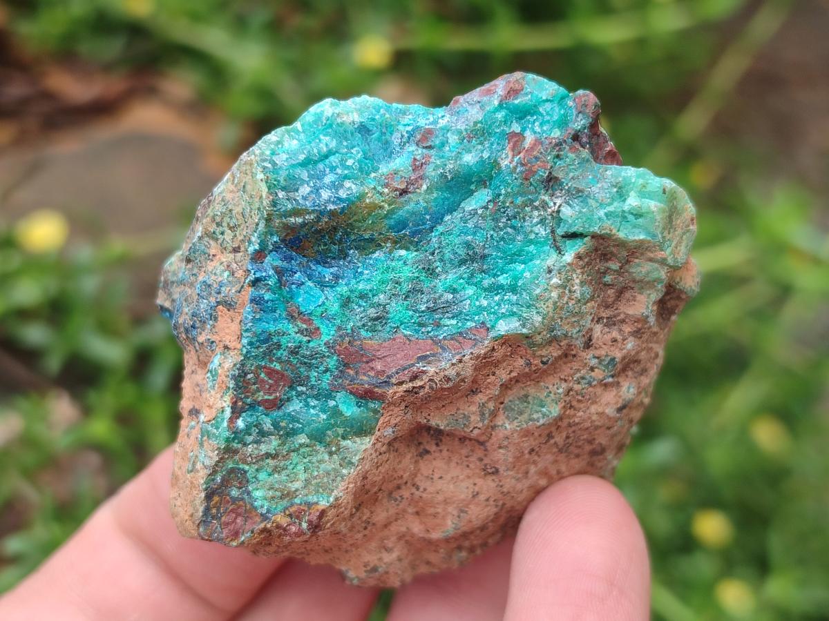 Natural Cobbed Shattuckite Specimens x 7 From Kaokoveld, Namibia - Toprock Gemstones and Minerals 