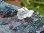 Natural Cobbed Shattuckite Specimens x 7 From Kaokoveld, Namibia - Toprock Gemstones and Minerals 