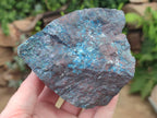 Natural Cobbed Shattuckite Specimens x 7 From Kaokoveld, Namibia - Toprock Gemstones and Minerals 