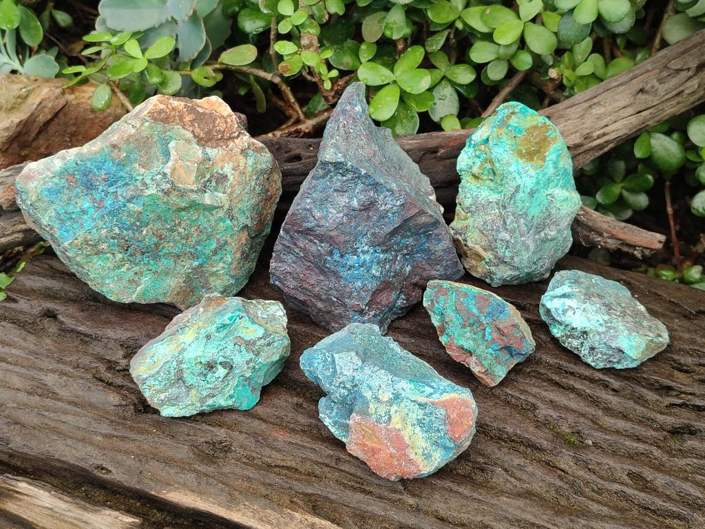 Natural Cobbed Shattuckite Specimens x 7 From Kaokoveld, Namibia - Toprock Gemstones and Minerals 