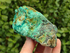 Natural Cobbed Shattuckite Specimens x 7 From Kaokoveld, Namibia - Toprock Gemstones and Minerals 