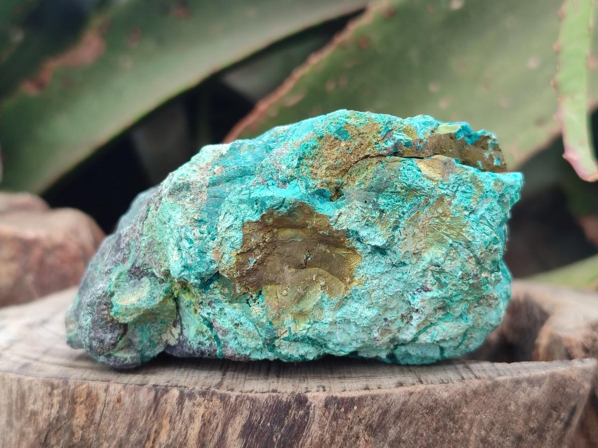 Natural Cobbed Shattuckite Specimens x 7 From Kaokoveld, Namibia - Toprock Gemstones and Minerals 