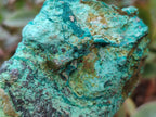 Natural Cobbed Shattuckite Specimens x 7 From Kaokoveld, Namibia - Toprock Gemstones and Minerals 