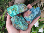 Natural Cobbed Shattuckite Specimens x 7 From Kaokoveld, Namibia - Toprock Gemstones and Minerals 