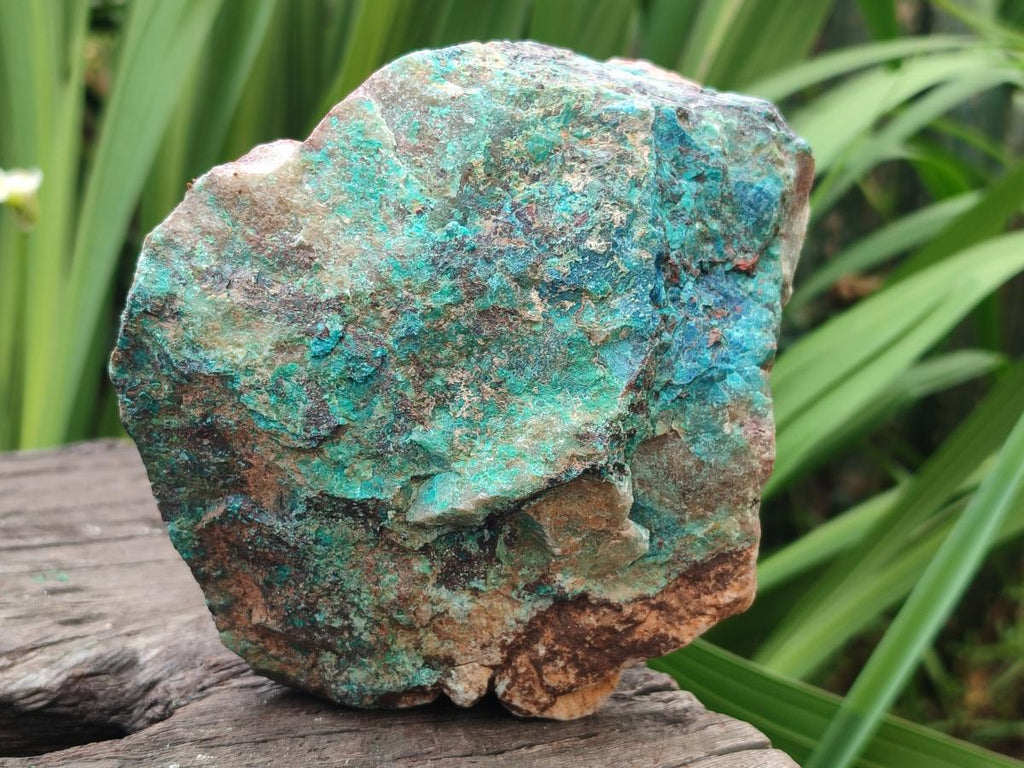 Natural Cobbed Shattuckite Specimens x 7 From Kaokoveld, Namibia - Toprock Gemstones and Minerals 