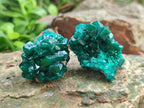 Natural Small Dioptase Specimens on Dolomite Matrix x 8 From Tantara Mine, Congo - Toprock Gemstones and Minerals 