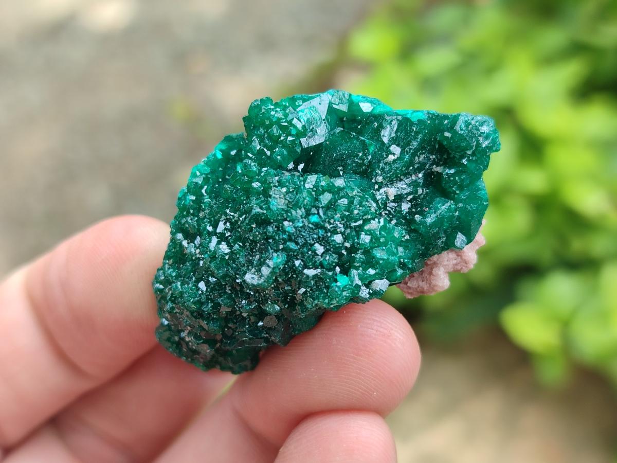 Natural Small Dioptase Specimens on Dolomite Matrix x 8 From Tantara Mine, Congo - Toprock Gemstones and Minerals 