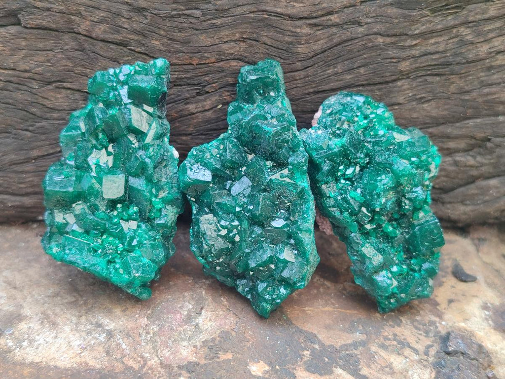 Natural Small Dioptase Specimens on Dolomite Matrix x 8 From Tantara Mine, Congo - Toprock Gemstones and Minerals 