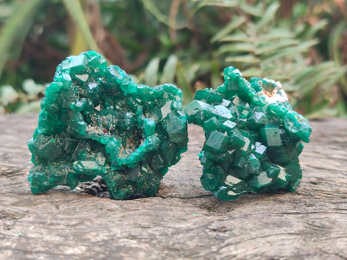 Natural Small Dioptase Specimens on Dolomite Matrix x 8 From Tantara Mine, Congo - Toprock Gemstones and Minerals 