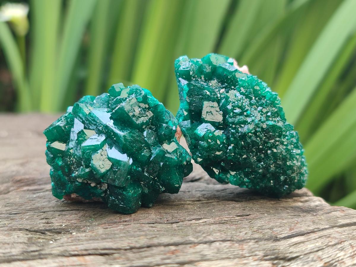 Natural Small Dioptase Specimens on Dolomite Matrix x 8 From Tantara Mine, Congo - Toprock Gemstones and Minerals 