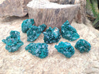 Natural Small Dioptase Specimens on Dolomite Matrix x 8 From Tantara Mine, Congo - Toprock Gemstones and Minerals 