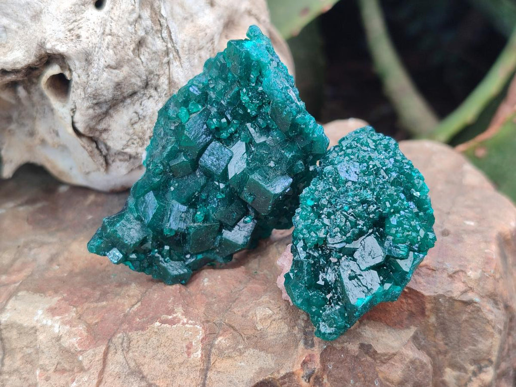 Natural Small Dioptase Specimens on Dolomite Matrix x 8 From Tantara Mine, Congo - Toprock Gemstones and Minerals 