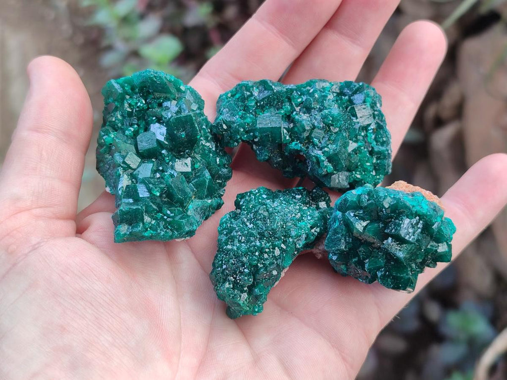 Natural Small Dioptase Specimens on Dolomite Matrix x 8 From Tantara Mine, Congo - Toprock Gemstones and Minerals 