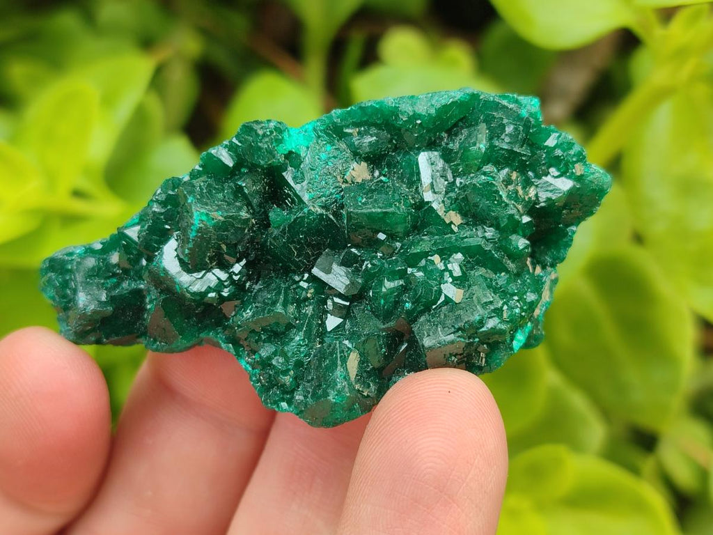 Natural Small Dioptase Specimens on Dolomite Matrix x 8 From Tantara Mine, Congo - Toprock Gemstones and Minerals 